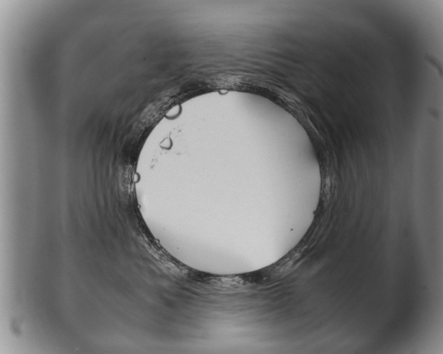 X0000102510525200808081010