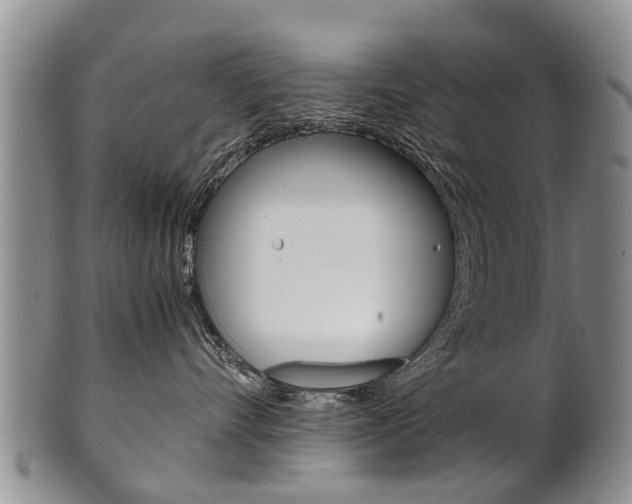 X0000102510528200808081010