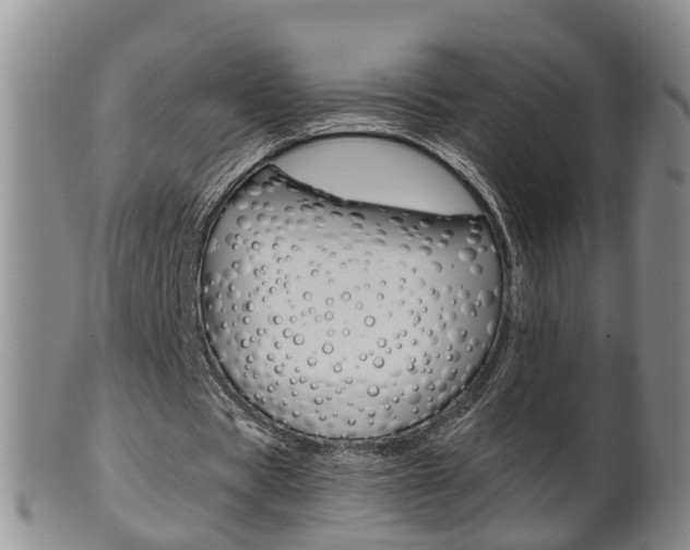 X0000102510529200808081009