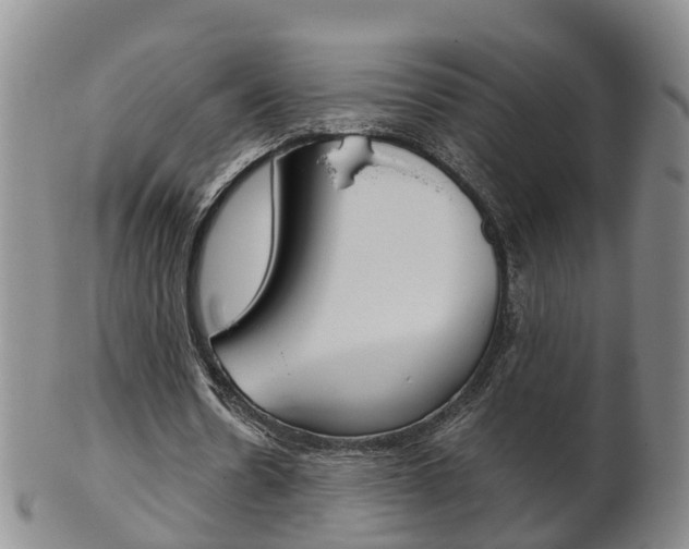 X0000102510530200808081009