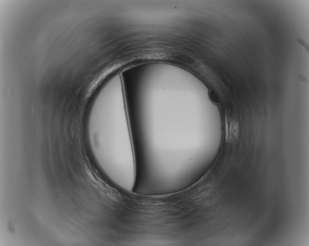 X0000102510531200808081009