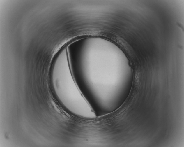 X0000102510532200808081009