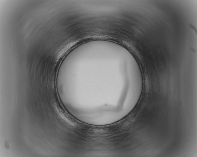 X0000102510533200808081009