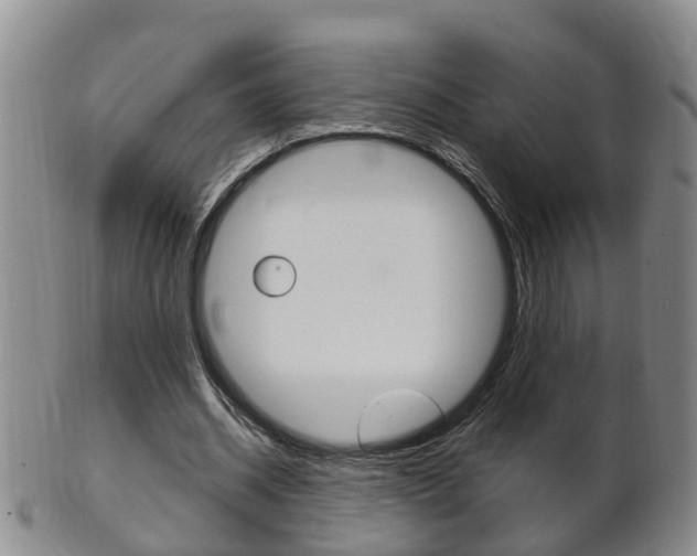 X0000102510534200808081009