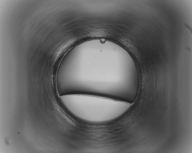 X0000102510535200808081009