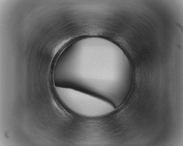 X0000102510536200808081009