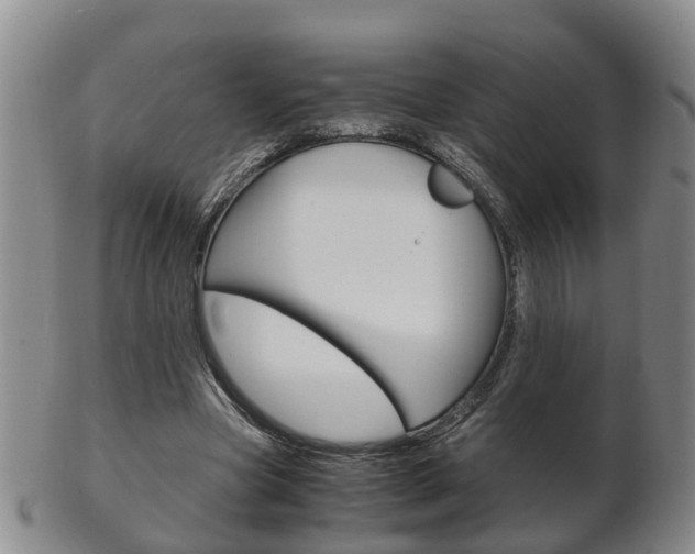 X0000102510537200808081009