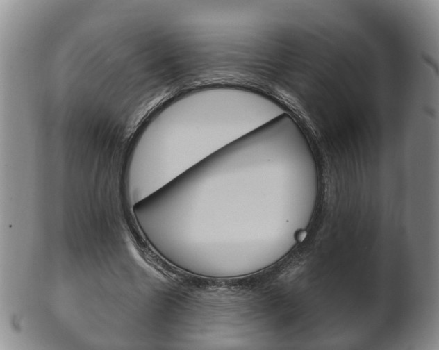 X0000102510538200808081009