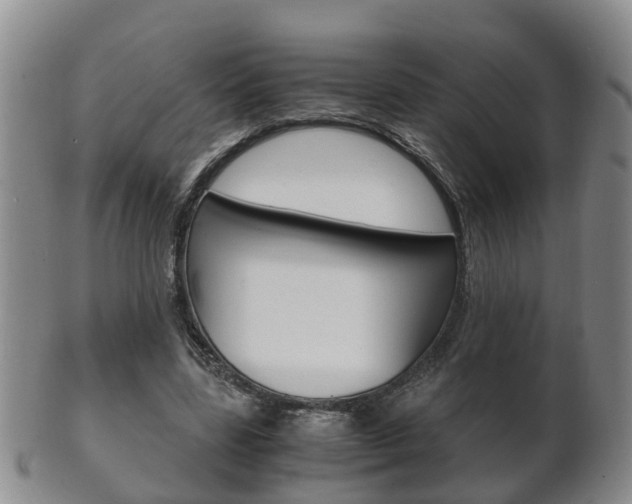 X0000102510539200808081009
