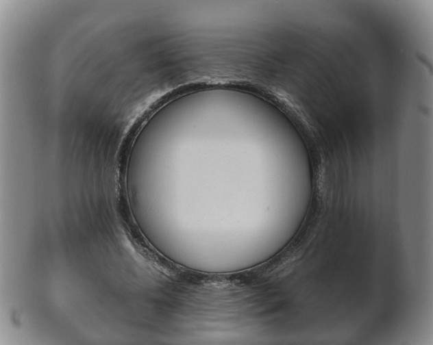 X0000102510540200808081009