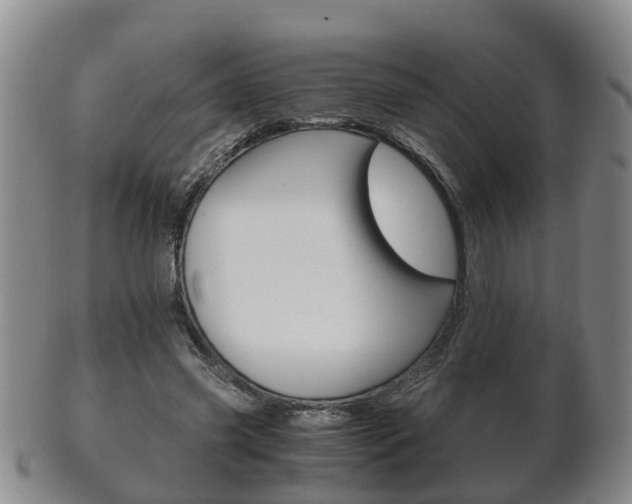 X0000102510541200808081009