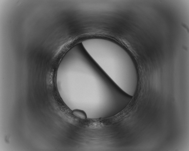 X0000102510543200808081009