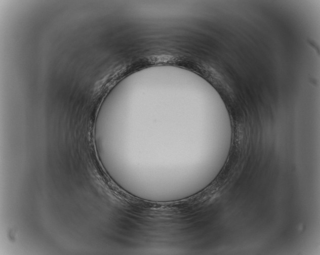 X0000102510545200808081009