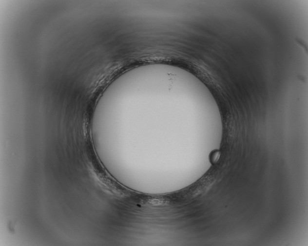 X0000102510546200808081009
