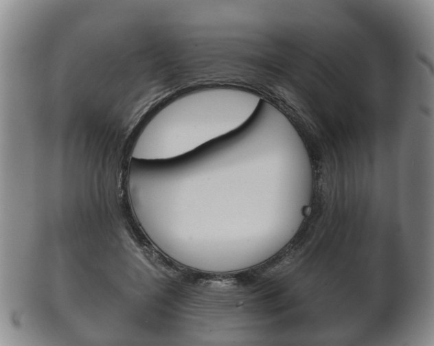 X0000102510548200808081009