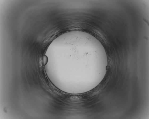 X0000102510549200808081009