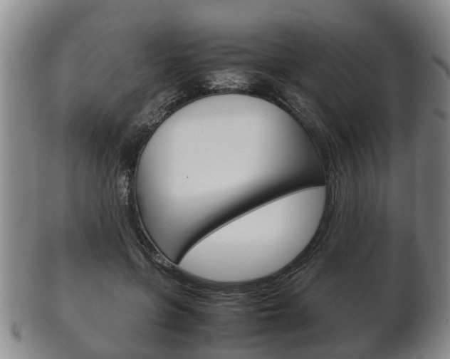 X0000102510551200808081009
