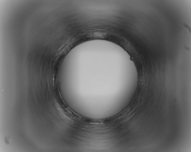 X0000102510552200808081009