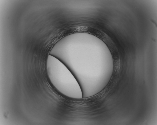 X0000102510553200808081009