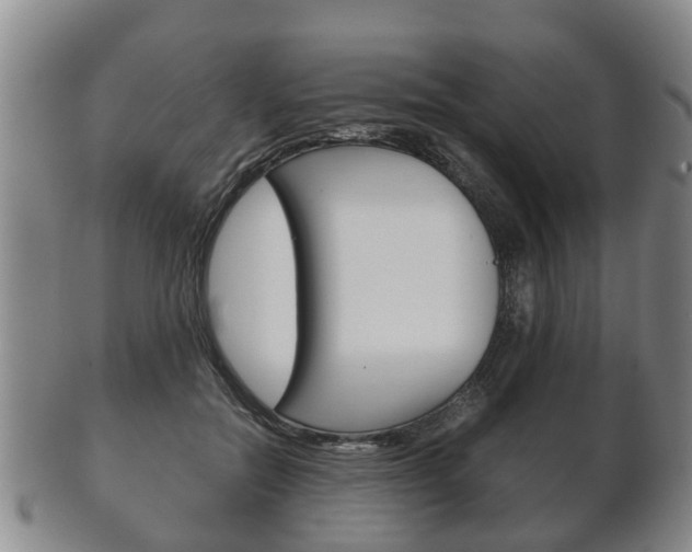X0000102510554200808081009