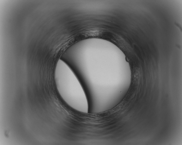 X0000102510555200808081009