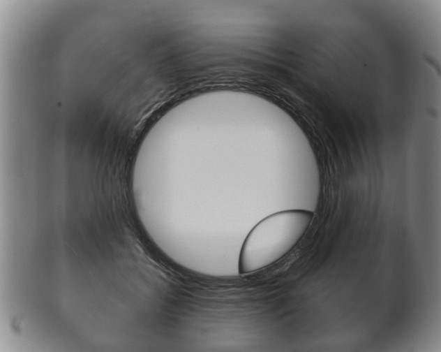 X0000102510556200808081009