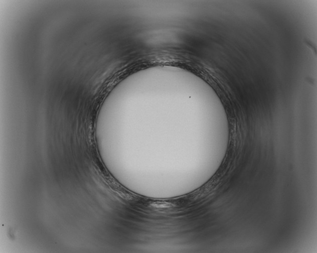 X0000102510557200808081009