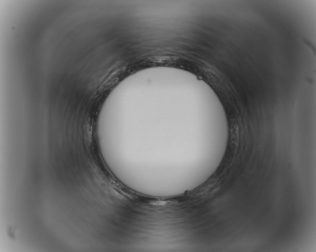 X0000102510558200808081009