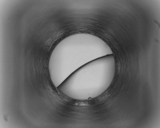 X0000102510559200808081009