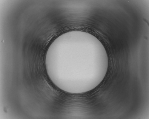 X0000102510560200808081009