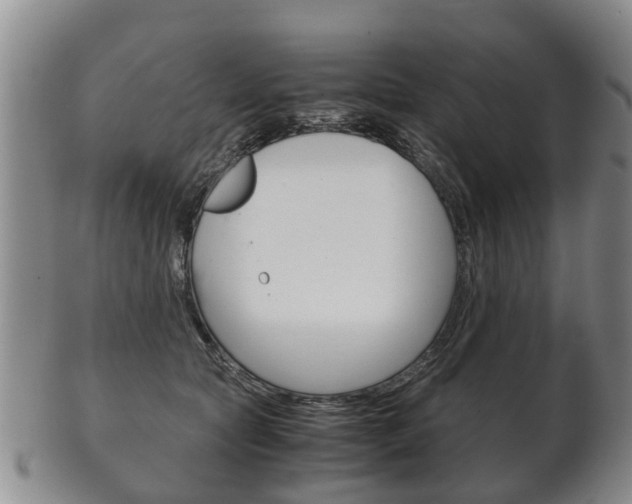 X0000102510561200808081009