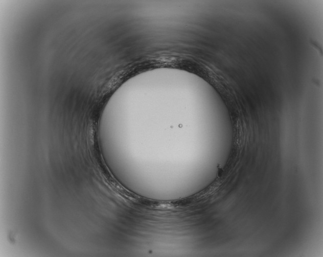 X0000102510562200808081009