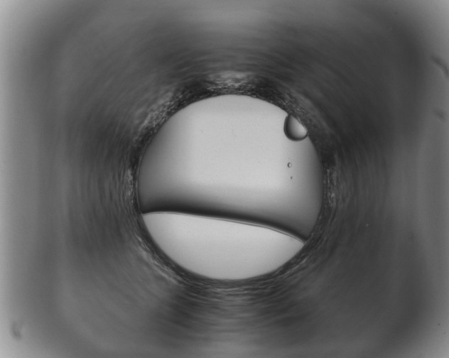 X0000102510563200808081009
