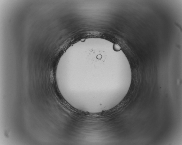 X0000102510564200808081009