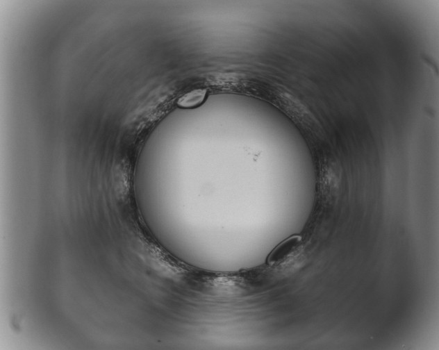 X0000102510566200808081009