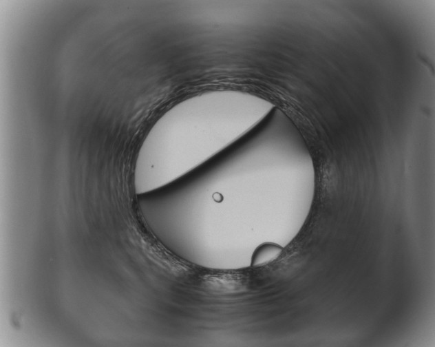 X0000102510567200808081009