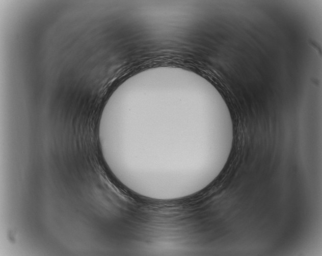 X0000102510568200808081009