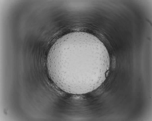 X0000102510569200808081010
