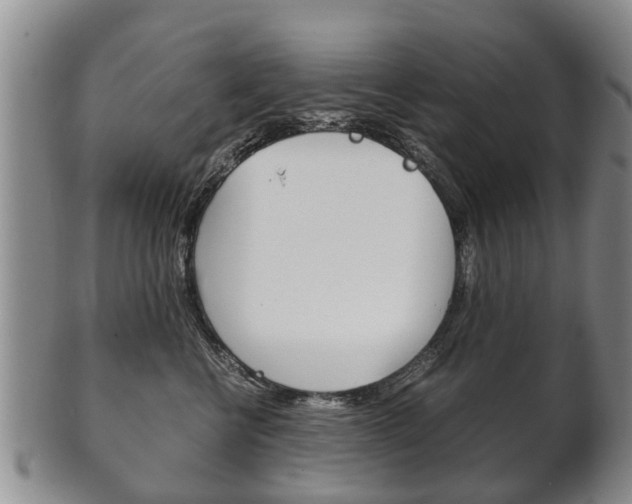 X0000102510570200808081010