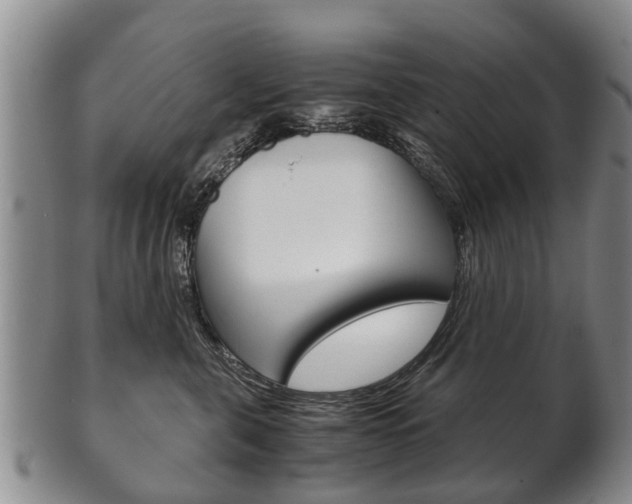 X0000102510571200808081010