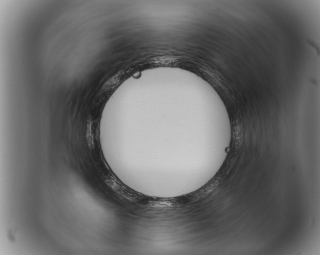 X0000102510572200808081010