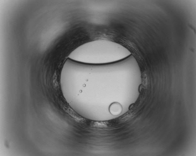 X0000102510573200808081010