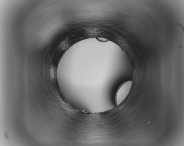 X0000102510574200808081010