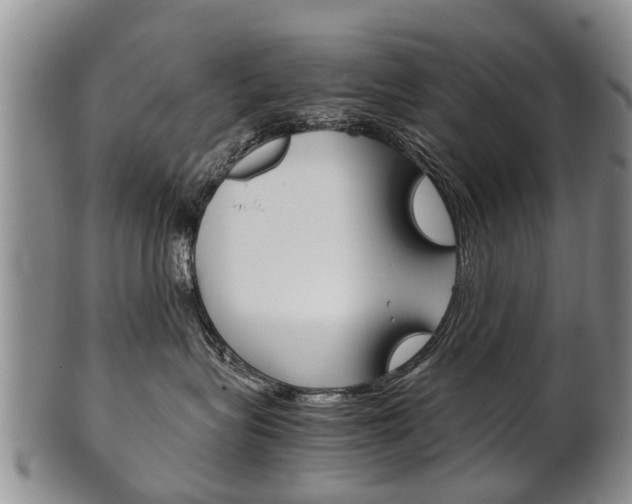X0000102510575200808081010
