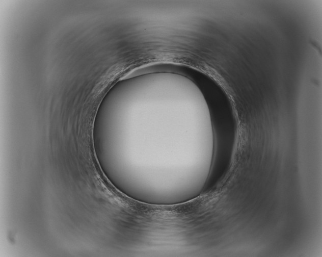 X0000102510577200808081009