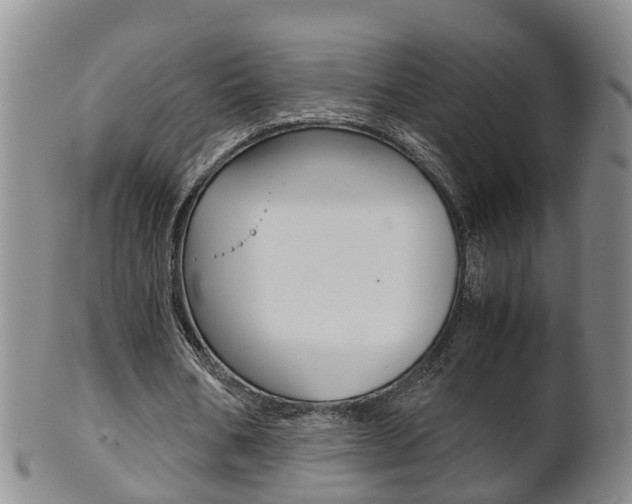 X0000102510578200808081009