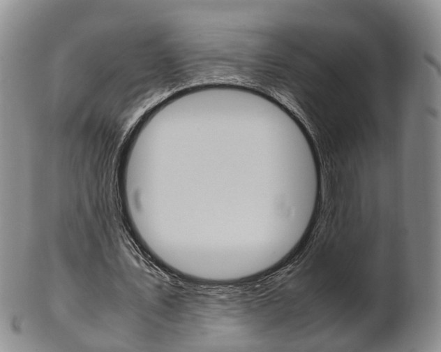 X0000102510579200808081009