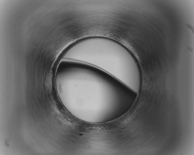 X0000102510580200808081009