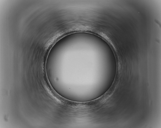 X0000102510581200808081009