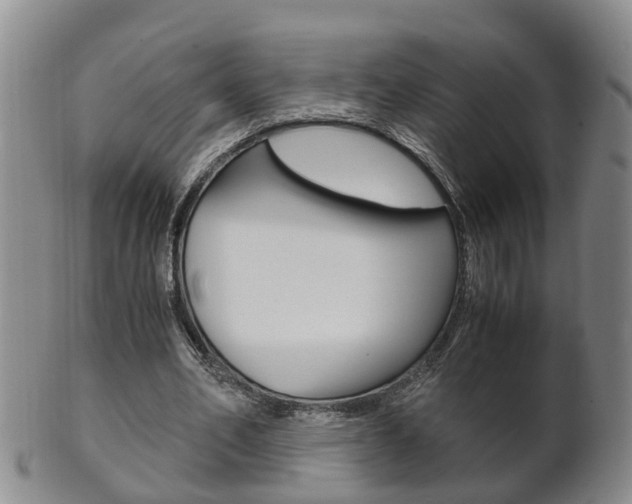 X0000102510582200808081009